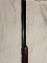 RUGER RED LABEL - 5 of 12