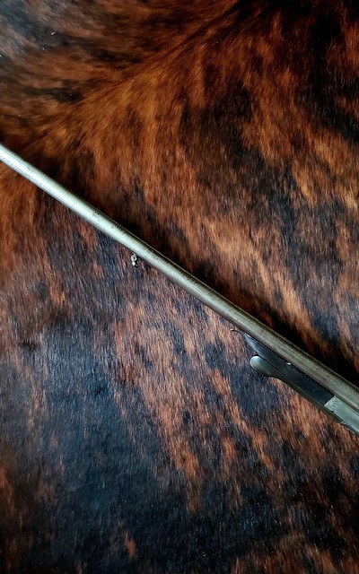Antique - Jacob Sackreuter 16ga Hammer Double Barrel Shotgun - Image 14 of 14