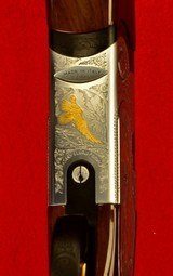 S687 EL Golden Pigeon - 1 of 9