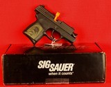 Sig Sauer 290RS-9-E - 2 of 2