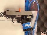 NIB SigSauer P238 380 CAL - 4 of 4