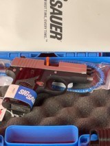 NIB SigSauer P238 380 CAL - 2 of 4