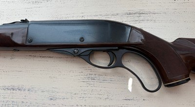 Remington Nylon 76 .22