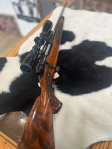 Weatherby Mark V Lazermark - 14 of 14