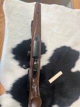 Browning A Bolt 243 WSSM - 10 of 12