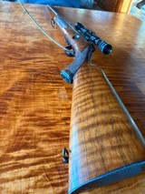 WINCHESTER model 75 SPORTING