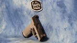 WILSON COMBAT P365XL 2.0 X-MACRO 9MM GRAY ACTION TUNED RMR CC OPTICS CUT - 2 of 5