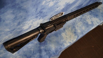 WILSON COMBAT PROTECTOR CARBINE 300 BLACKOUT 16