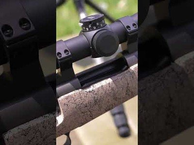 WINCHESTER 535243210 MODEL 70 LONG RANGE MB 22-250 REM - Image 2 of 11