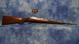 RUGER 7230 77/17 STAINLESS WALNUT 17 WSM 18.5
