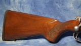 RUGER 7230 77/17 STAINLESS WALNUT 17 WSM 18.5