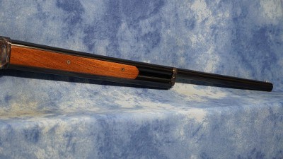CHIAPPA FIREARMS 930.001 1887 12 GAUGE 5+1 2.75