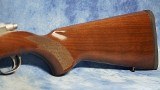 RUGER 7230 77/17 STAINLESS WALNUT 17 WSM 18