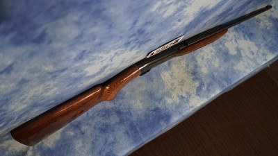 BROWNING 021001102 SA-22 TAKEDOWN 22 LR 10+1 19.75