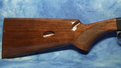BROWNING 021001102 SA-22 TAKEDOWN 22 LR 10+1 19.75