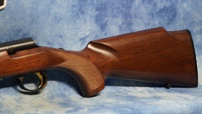 BROWNING 025253204 T-BOLT TARGET SR 22 WMR 20