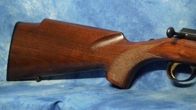 BROWNING 025253204 T-BOLT TARGET SR 22 WMR 20