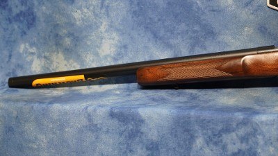 BROWNING 025253204 T-BOLT TARGET SR 22 WMR 20