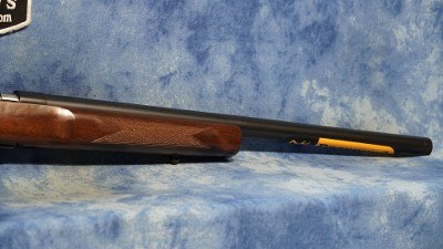 BROWNING 025253204 T-BOLT TARGET SR 22 WMR 20