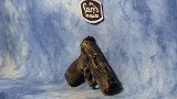 SMITH & WESSON 14647 M&P9 PERFORMANCE CENTER 9MM CARRY COMP CAMO - 2 of 5