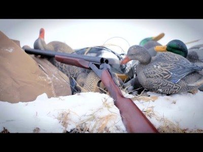 STOEGER 31061 LONGFOWLER 12 GA 3