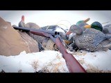 STOEGER 31061 LONGFOWLER 12 GA 3
