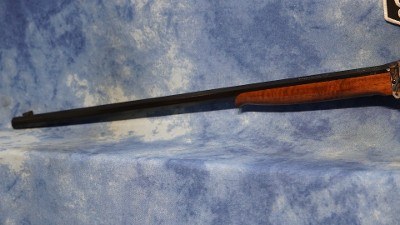 CHIAPPA 920.187 LITTLE SHARPS 22 WMR 24