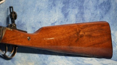 CHIAPPA 920.187 LITTLE SHARPS 22 WMR 24