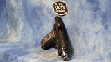 WILSON COMBAT P1-D77-FS-9-BLK-BOX PROJECT 1 DIVISION 77 9MM BLACK - Image 15 of 21
