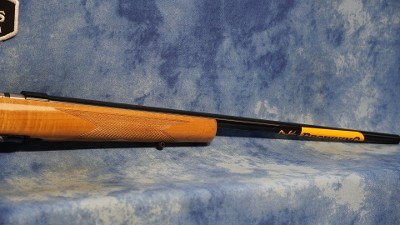 BROWNING 025256202 T-BOLT SPORTER 22 LR 10+1 22
