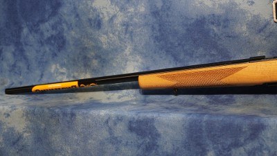 BROWNING 025256202 T-BOLT SPORTER 22 LR 10+1 22