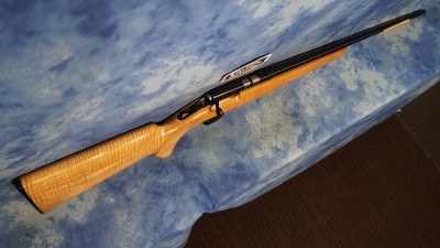 BROWNING 025256202 T-BOLT SPORTER 22 LR 10+1 22