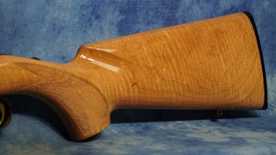 BROWNING 025256202 T-BOLT SPORTER 22 LR 10+1 22