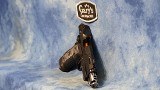 WILSON COMBAT P1-D77-FS-9-BLK PROJECT 1 DIVISION 77 9MM BLACK - Image 15 of 18