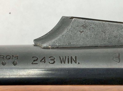 Remington 7600 243 with Bushnell scope and leather sling - Image 13 of 14
