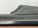 Remington 7600 243 with Bushnell scope and leather sling - Image 13 of 14