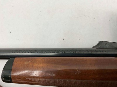 Remington 7600 243 with Bushnell scope and leather sling - Image 14 of 14