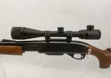 Remington 7600 243 with Bushnell scope and leather sling - Image 3 of 14