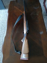 Winchester Bolt 7mm - 8 of 9