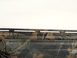 Remington 870 Express Super Magnum - 12 Gauge 3.5