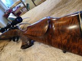 Custom Hand-carved Majestic Herd Bull in Select Grade Walnut in .300 Weatherby Magnum 