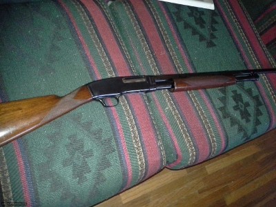 Winchester
42
Skeet
Straight stock Soild Rib 
