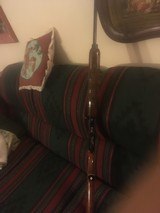 Remington1100 Lightweight410 ga - 7 of 7