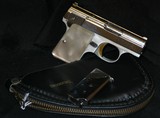 Browning .25ACP - 4 of 4