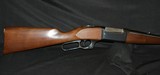 SAVAGE 99A .250 - 1 of 10