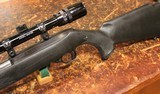 RUGER 10/22 MAGNUM - 14 of 15