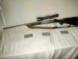 RUGER, M77, .204 RUGER - 6 of 11