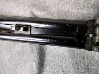 WESTLEY RICHARDS, RARE BOX LOCK DOUBLE RIFLE, .500/.465 - Image 14 of 16