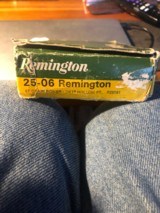 Remington 25-06