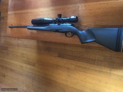 Steyr Mannlicher 300 Win Mag